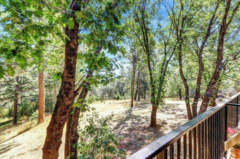 14401 Frontier Ln, Grass Valley, CA 95949 photo 38
