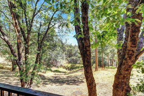 14401 Frontier Ln, Grass Valley, CA 95949 photo 37