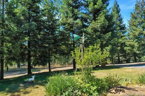 14401 Frontier Ln, Grass Valley, CA 95949 photo 60