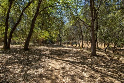 15636 Meadowlark Ln, Sutter Creek, CA 95685 photo 30