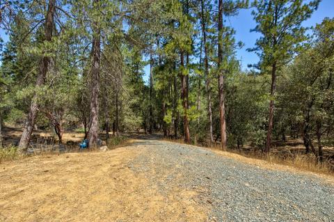 15636 Meadowlark Ln, Sutter Creek, CA 95685 photo 12