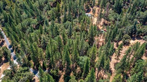 15636 Meadowlark Ln, Sutter Creek, CA 95685 photo 40