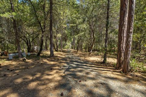 15636 Meadowlark Ln, Sutter Creek, CA 95685 photo 17