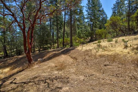15636 Meadowlark Ln, Sutter Creek, CA 95685 photo 34