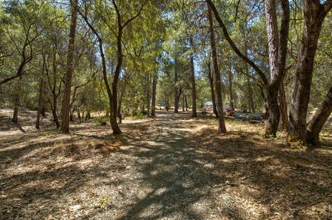 15636 Meadowlark Ln, Sutter Creek, CA 95685 photo 19