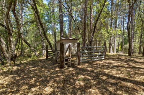 15636 Meadowlark Ln, Sutter Creek, CA 95685 photo 18