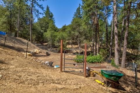 15636 Meadowlark Ln, Sutter Creek, CA 95685 photo 15