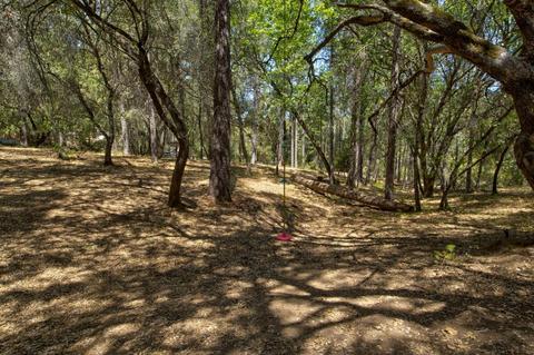 15636 Meadowlark Ln, Sutter Creek, CA 95685 photo 28
