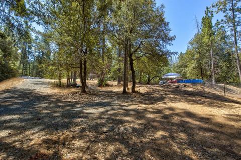 15636 Meadowlark Ln, Sutter Creek, CA 95685 photo 13
