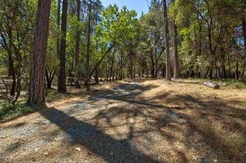 15636 Meadowlark Ln, Sutter Creek, CA 95685 photo 21