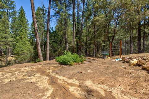 15636 Meadowlark Ln, Sutter Creek, CA 95685 photo 16