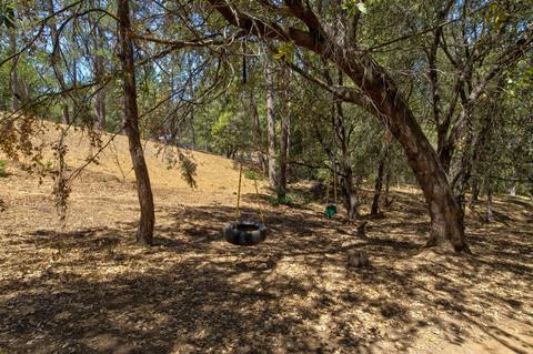 15636 Meadowlark Ln, Sutter Creek, CA 95685 photo 31
