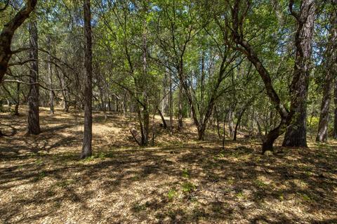15636 Meadowlark Ln, Sutter Creek, CA 95685 photo 27