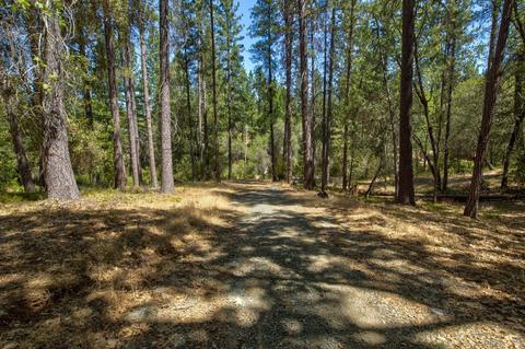 15636 Meadowlark Ln, Sutter Creek, CA 95685 photo 1