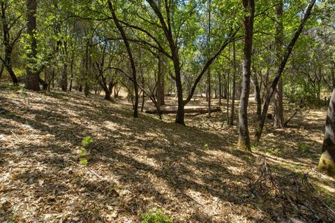 15636 Meadowlark Ln, Sutter Creek, CA 95685 photo 26