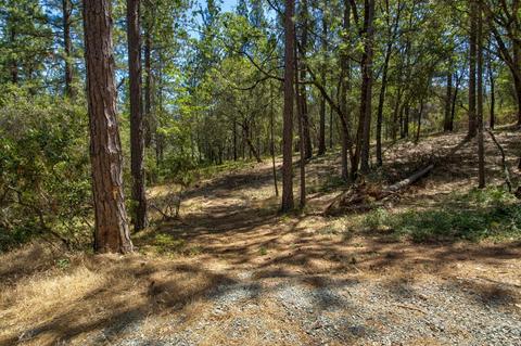 15636 Meadowlark Ln, Sutter Creek, CA 95685 photo 23