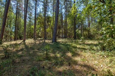 15636 Meadowlark Ln, Sutter Creek, CA 95685 photo 22