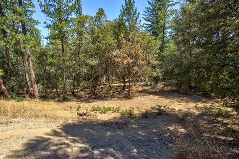 15636 Meadowlark Ln, Sutter Creek, CA 95685 photo 32