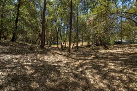 15636 Meadowlark Ln, Sutter Creek, CA 95685 photo 29