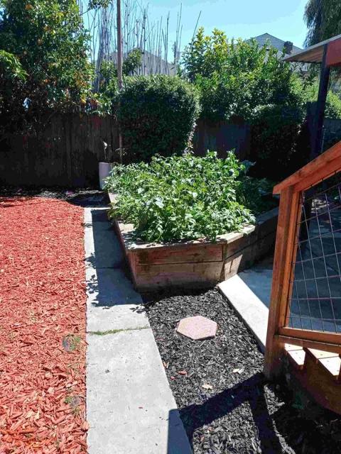 1414 Fairview St, Berkeley, CA 94702 photo 59
