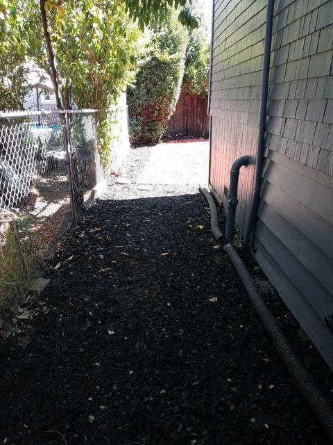 1414 Fairview St, Berkeley, CA 94702 photo 62