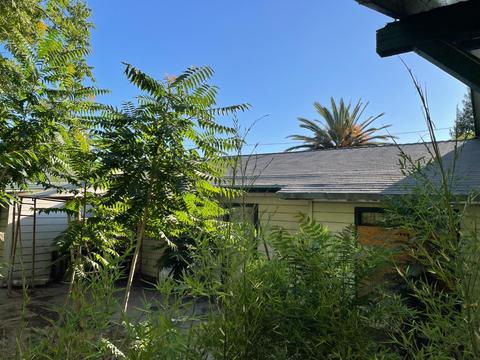 1918 Michel Ave, Modesto, CA 95358 photo 23