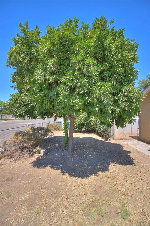 4505 Stella Ave, Keyes, CA 95328 photo 5