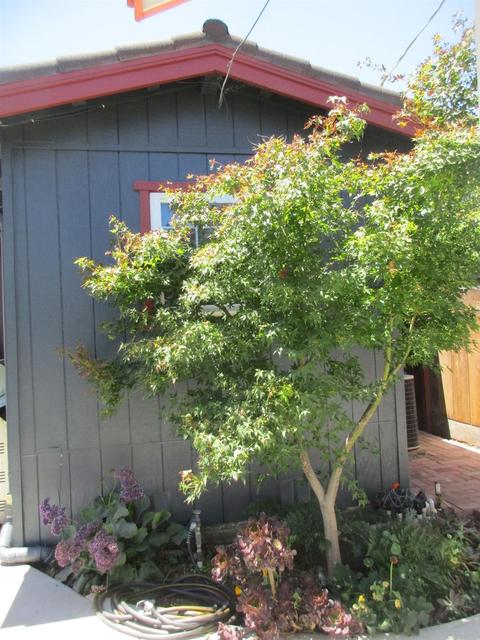 106 Clover Ln, Modesto, CA 95351 photo 49