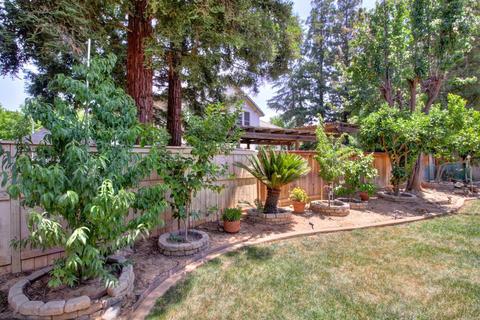 870 Lariat Loop, Galt, CA 95632 photo 18