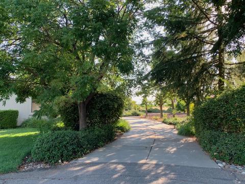 39311 Spyglass Pl, Davis, CA 95616 photo 4
