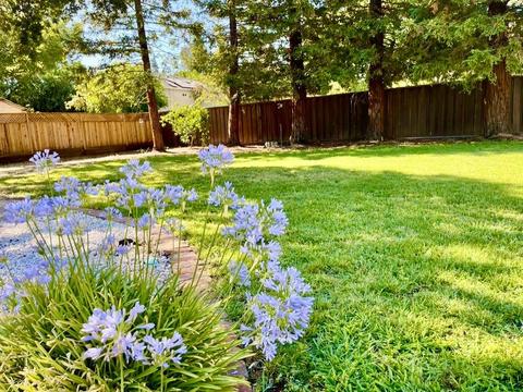 2644 Garfield, Carmichael, CA 95608 photo 47