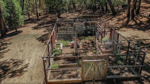 18550 Shake Ridge Rd, Sutter Creek, CA 95685 photo 39