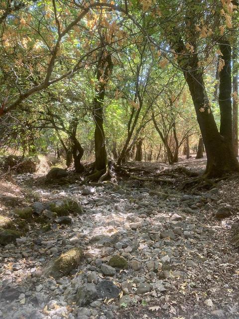 18550 Shake Ridge Rd, Sutter Creek, CA 95685 photo 49