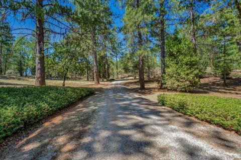 18550 Shake Ridge Rd, Sutter Creek, CA 95685 photo 2