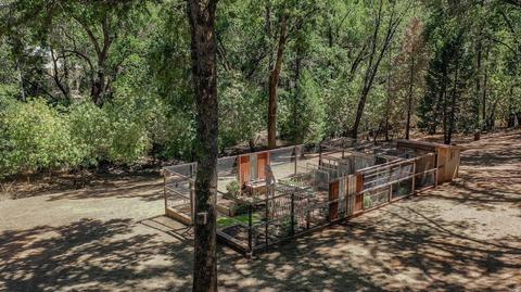 18550 Shake Ridge Rd, Sutter Creek, CA 95685 photo 36