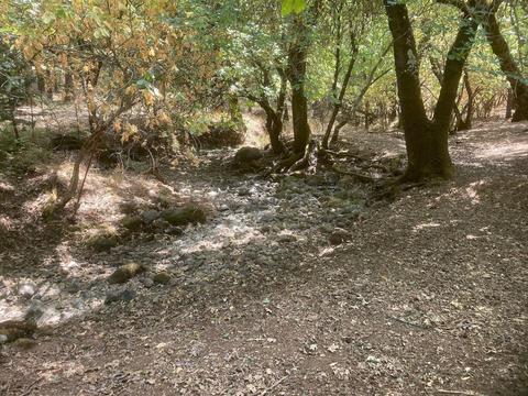 18550 Shake Ridge Rd, Sutter Creek, CA 95685 photo 50