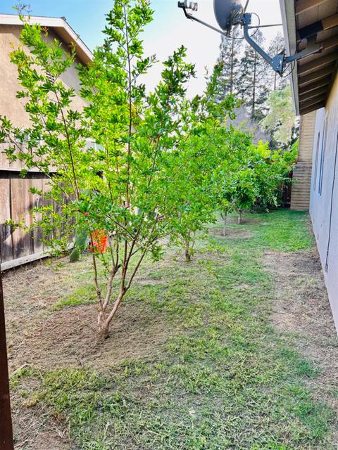 2240 S Ham Ln, Lodi, CA 95242 photo 13
