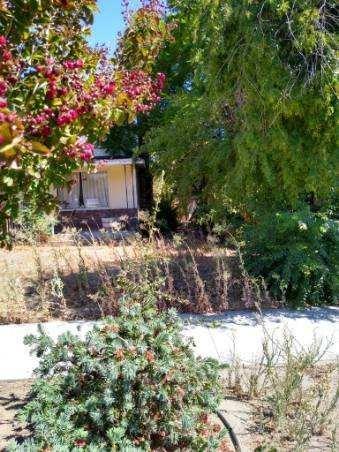 331 W 1st St, Ripon, CA 95366 photo 4