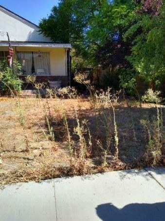 331 W 1st St, Ripon, CA 95366 photo 2