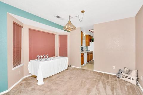 922 W Springer Dr, Turlock, CA 95382 photo 16