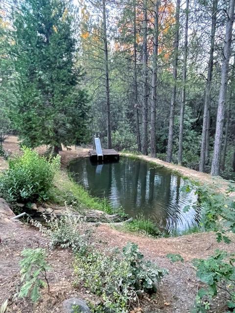 6501 Laughlin Rd, Placerville, CA 95667 photo 16