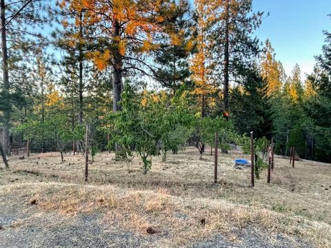 6501 Laughlin Rd, Placerville, CA 95667 photo 17