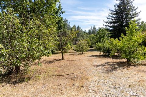 17910 Carter Ln, Jackson, CA 95642 photo 32