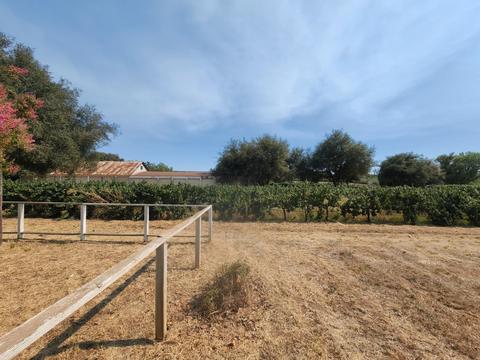 20216 Atkins Rd, Lodi, CA 95240 photo 58