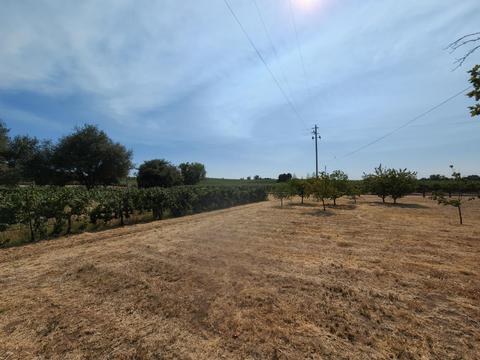 20216 Atkins Rd, Lodi, CA 95240 photo 57
