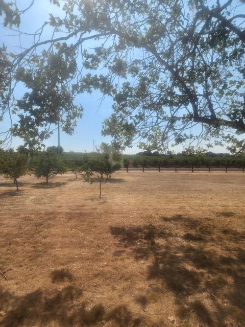 20216 Atkins Rd, Lodi, CA 95240 photo 22