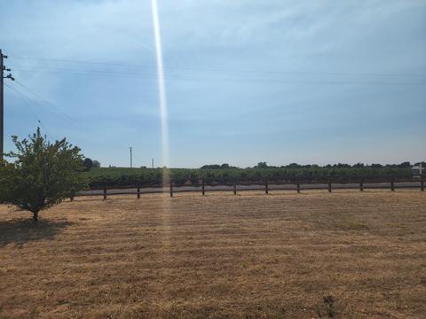 20216 Atkins Rd, Lodi, CA 95240 photo 60