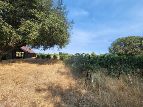 20216 Atkins Rd, Lodi, CA 95240 photo 54