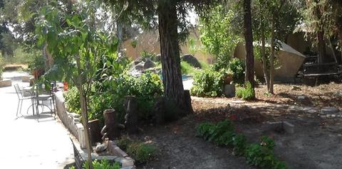 1741 W Hatch Rd, Modesto, CA 95351 photo 10