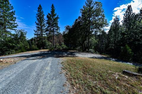 6500 Will Rd, Placerville, CA 95667 photo 5